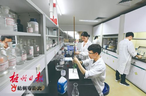 梧州双雄展科技实力，高新技术企业百强再创佳绩